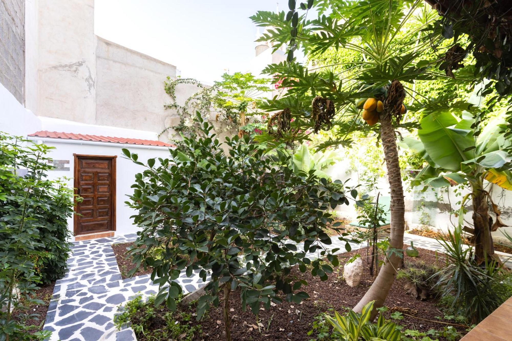 Garachico Center Secret Garden Villa Eksteriør billede